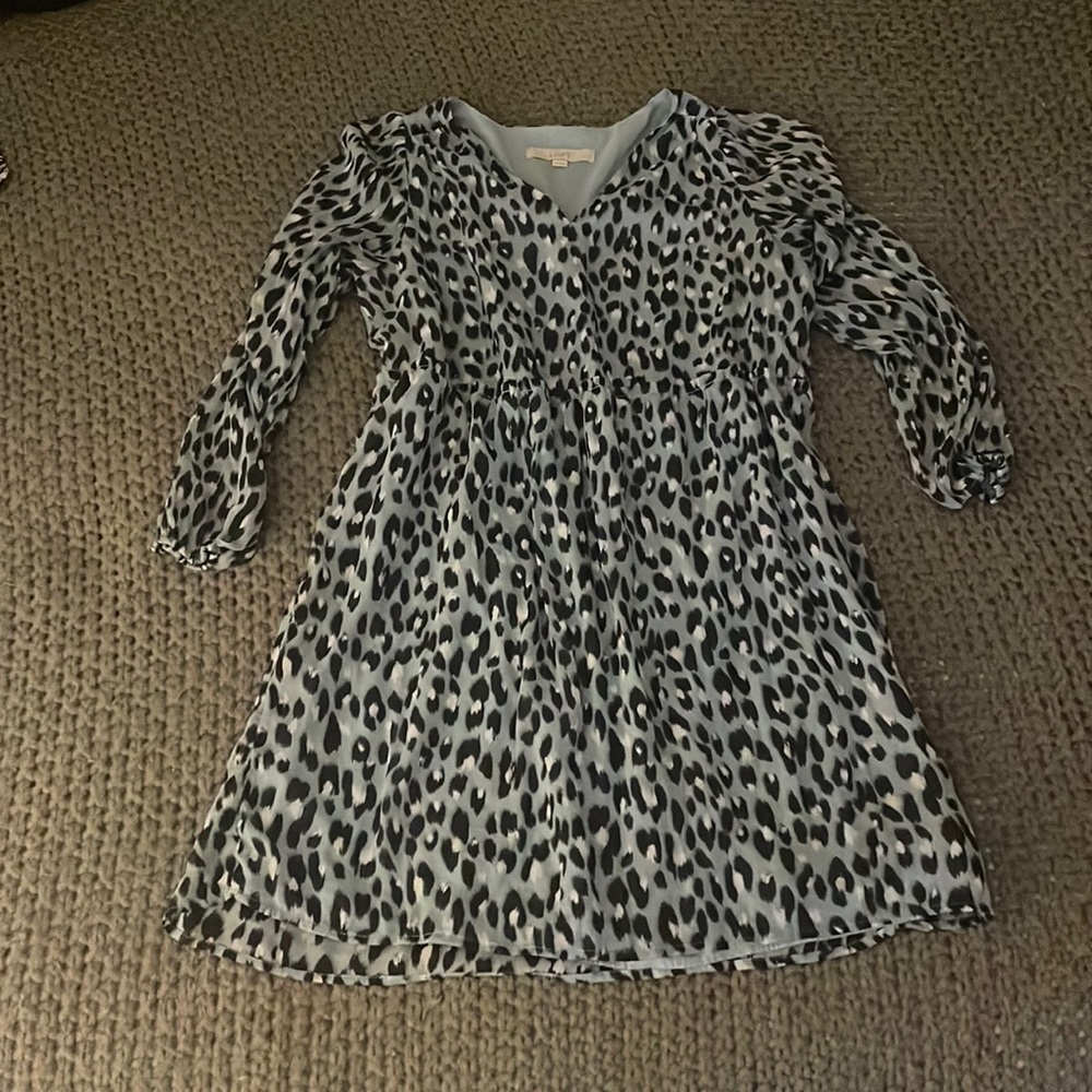 Ann Taylor Loft shift dress with slightly gathered waistline and long sleeves